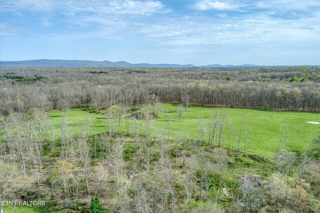 4571 Lantana Rd, Crossville, TN 38572 - photo 41