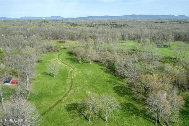 4571 Lantana Rd, Crossville, TN 38572 - photo 42