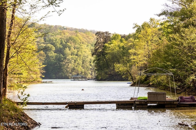 water view featuring a floating dock and a view of trees