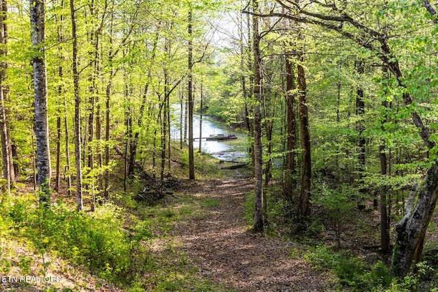 view of landscape with a forest view and a water view