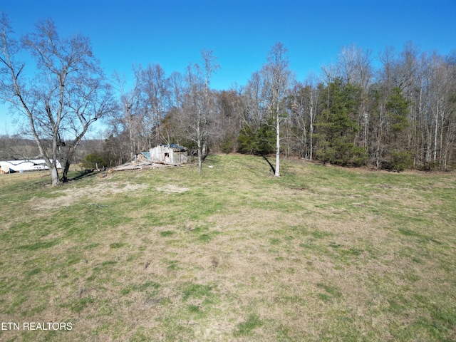 5128 Cove Creek Rd, Byrdstown, TN 38549 - view of yard
