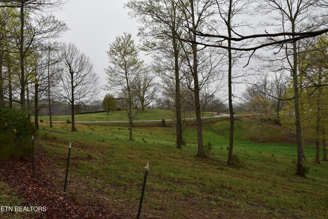 5128 Cove Creek Rd, Byrdstown, TN 38549 - view of yard with a rural view