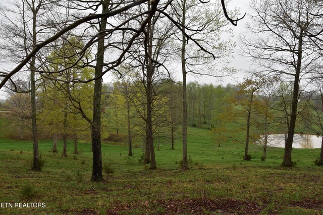 5128 Cove Creek Rd, Byrdstown, TN 38549 - view of local wilderness with a wooded view and a water view