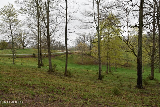 5128 Cove Creek Rd, Byrdstown, TN 38549 - view of yard