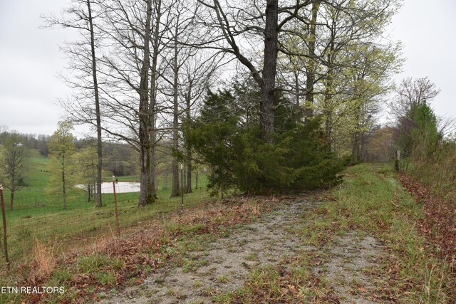 5128 Cove Creek Rd, Byrdstown, TN 38549 - view of yard