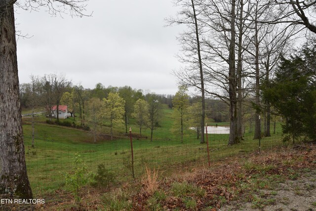 5128 Cove Creek Rd, Byrdstown, TN 38549 - view of yard with a forest view and a rural view