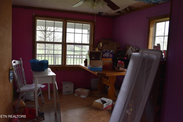 5128 Cove Creek Rd, Byrdstown, TN 38549 - office with wood finished floors and a ceiling fan
