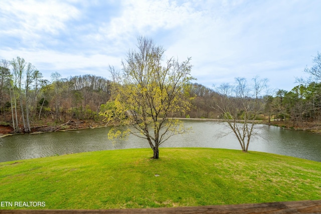 891 Ness Ln, Greenback, TN 37742 - photo 33