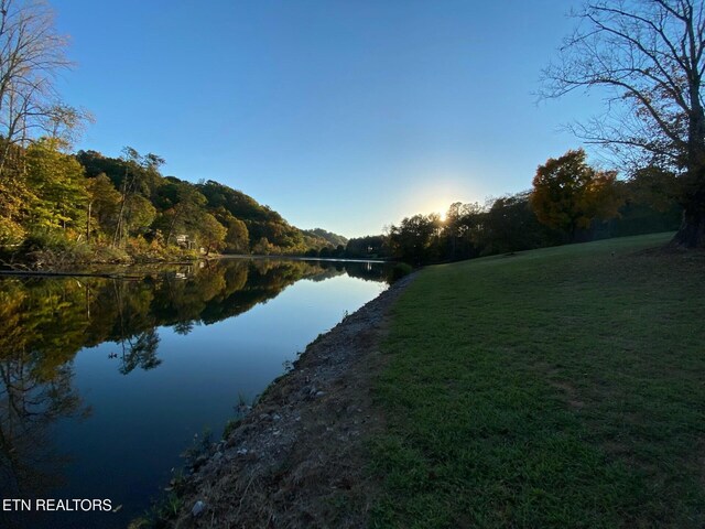 891 Ness Ln, Greenback, TN 37742 - photo 38