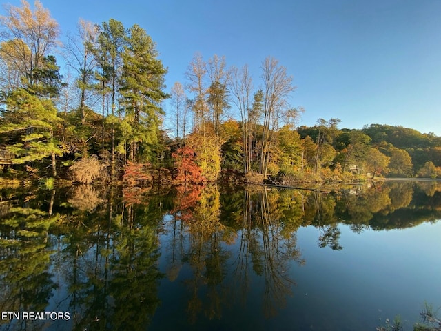 891 Ness Ln, Greenback, TN 37742 - photo 39