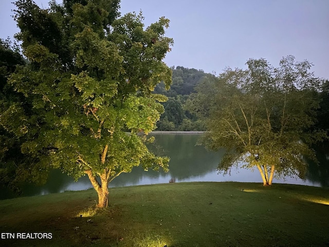 891 Ness Ln, Greenback, TN 37742 - photo 41