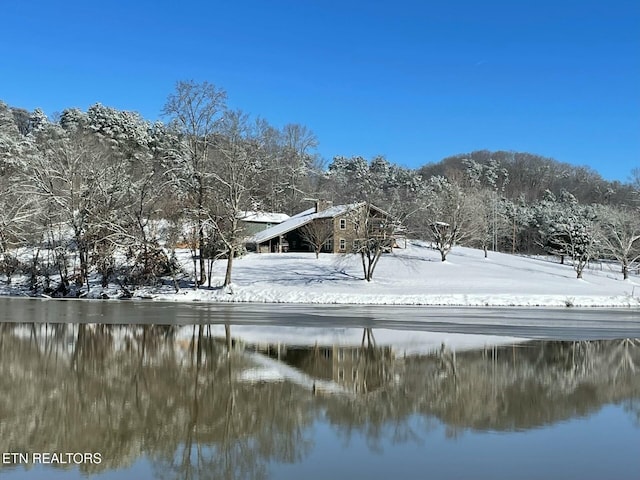 891 Ness Ln, Greenback, TN 37742 - photo 42