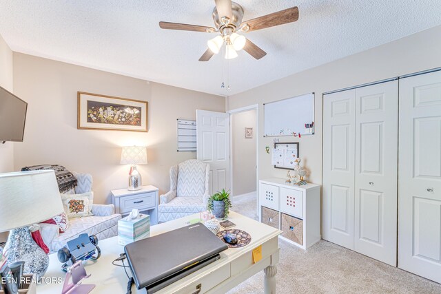 815 Wildview Way, Knoxville, TN 37920 - photo 16