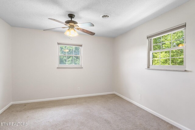 213 Abner Cruze Rd, Knoxville, TN 37920 - photo 13