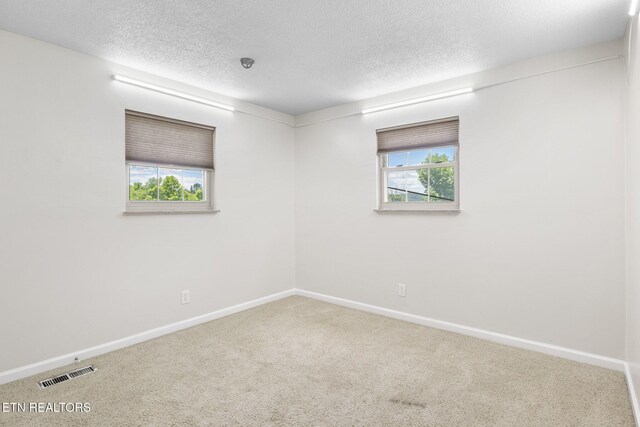 213 Abner Cruze Rd, Knoxville, TN 37920 - photo 16