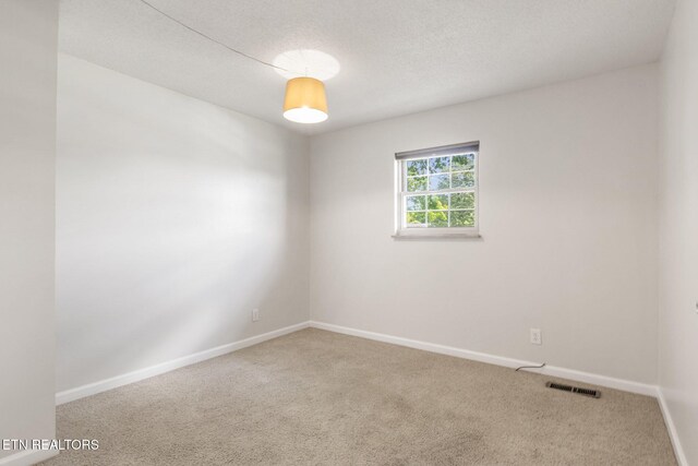 213 Abner Cruze Rd, Knoxville, TN 37920 - photo 17