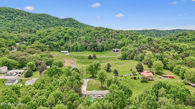 160 Walnut Ln, Rutledge, TN 37861 - bird's eye view with a wooded view