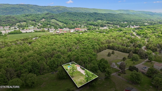 160 Walnut Ln, Rutledge, TN 37861 - drone / aerial view with a view of trees and a mountain view