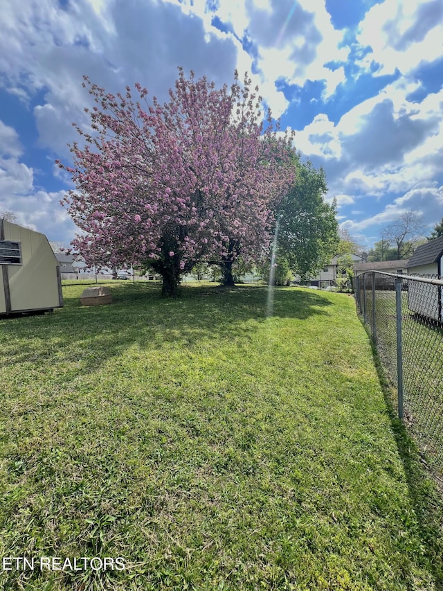 view of yard featuring a shed, an outdoor structure, and fence