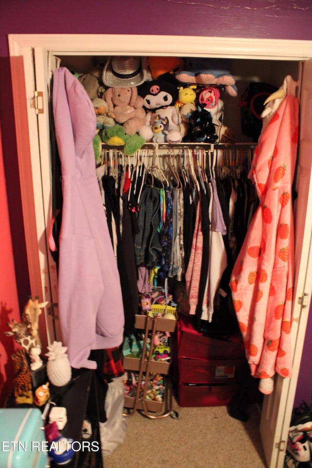 view of closet