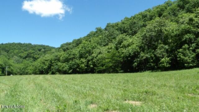 0 Brimstone Creek Rd, Moss, TN 38575
