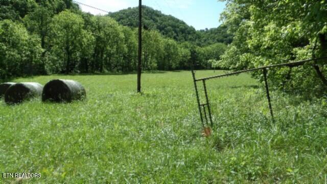 0 Brimstone Creek Rd, Moss, TN 38575