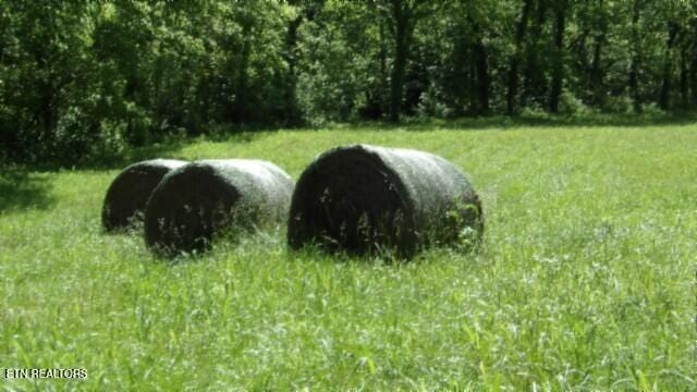 0 Brimstone Creek Rd, Moss, TN 38575