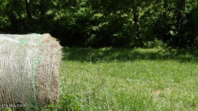 0 Brimstone Creek Rd, Moss, TN 38575