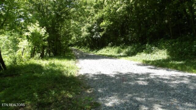 0 Brimstone Creek Rd, Moss, TN 38575