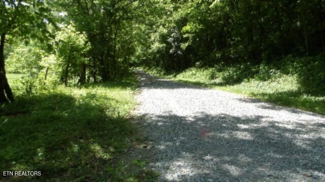 0 Brimstone Creek Rd, Moss, TN 38575