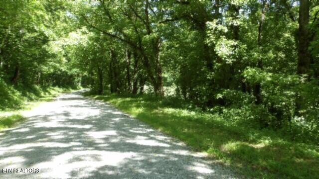 0 Brimstone Creek Rd, Moss, TN 38575