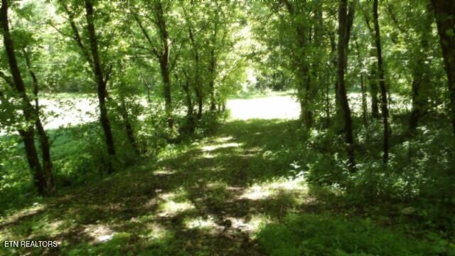 0 Brimstone Creek Rd, Moss, TN 38575