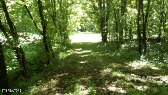 0 Brimstone Creek Rd, Moss, TN 38575