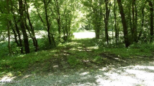 0 Brimstone Creek Rd, Moss, TN 38575