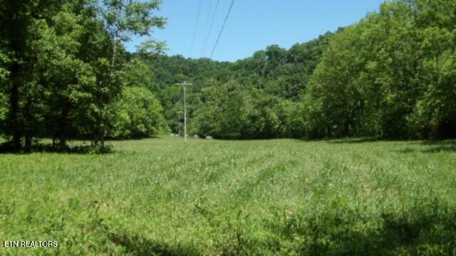 0 Brimstone Creek Rd, Moss, TN 38575