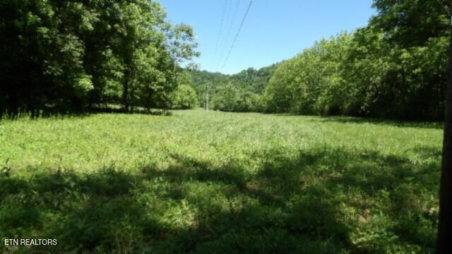 0 Brimstone Creek Rd, Moss, TN 38575