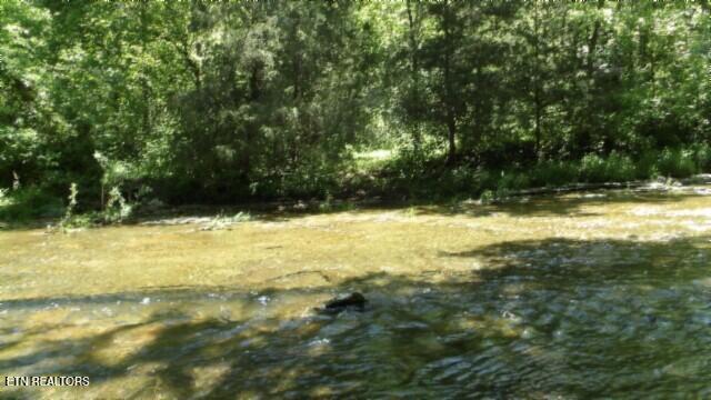 0 Brimstone Creek Rd, Moss, TN 38575