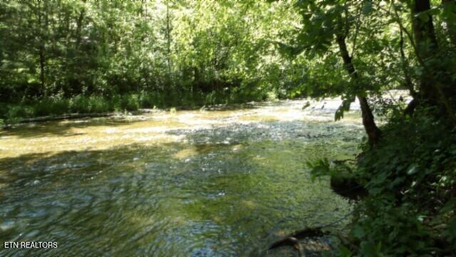 0 Brimstone Creek Rd, Moss, TN 38575