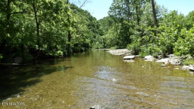 0 Brimstone Creek Rd, Moss, TN 38575