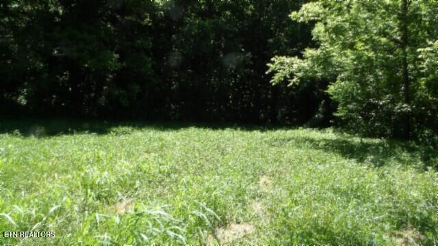 0 Brimstone Creek Rd, Moss, TN 38575
