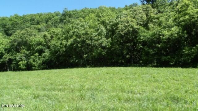 0 Brimstone Creek Rd, Moss, TN 38575