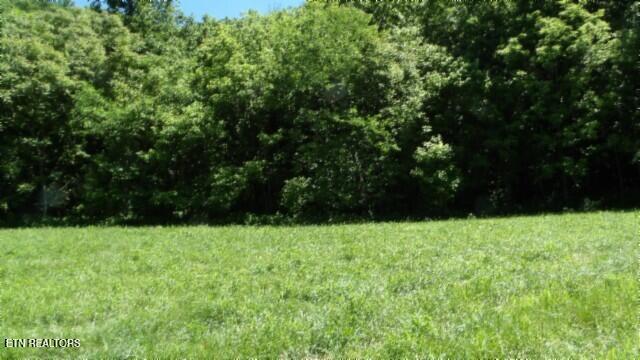 0 Brimstone Creek Rd, Moss, TN 38575