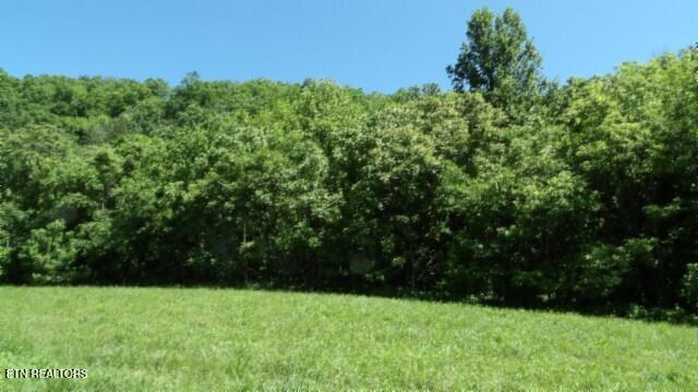 0 Brimstone Creek Rd, Moss, TN 38575