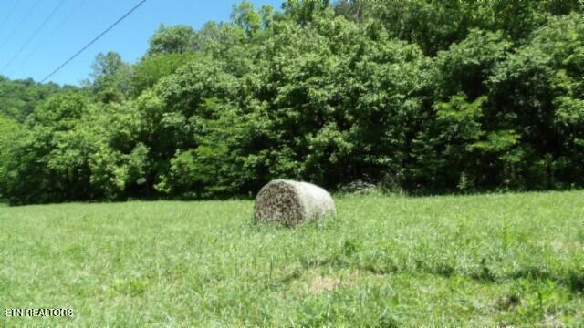 0 Brimstone Creek Rd, Moss, TN 38575