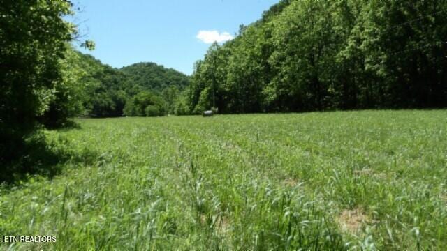 0 Brimstone Creek Rd, Moss, TN 38575