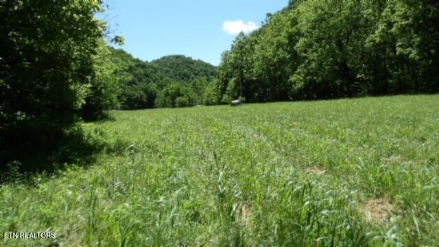 0 Brimstone Creek Rd, Moss, TN 38575