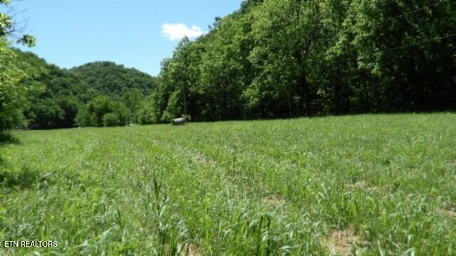 0 Brimstone Creek Rd, Moss, TN 38575