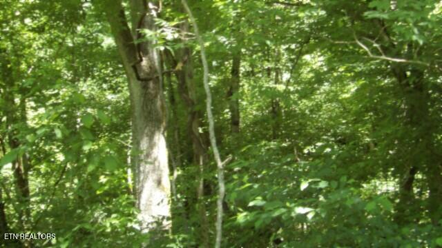0 Brimstone Creek Rd, Moss, TN 38575