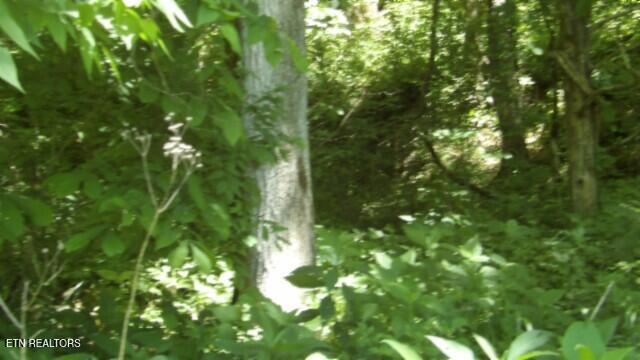0 Brimstone Creek Rd, Moss, TN 38575