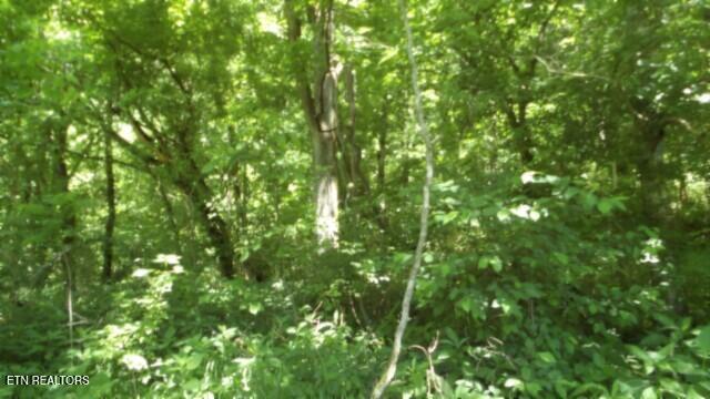 0 Brimstone Creek Rd, Moss, TN 38575